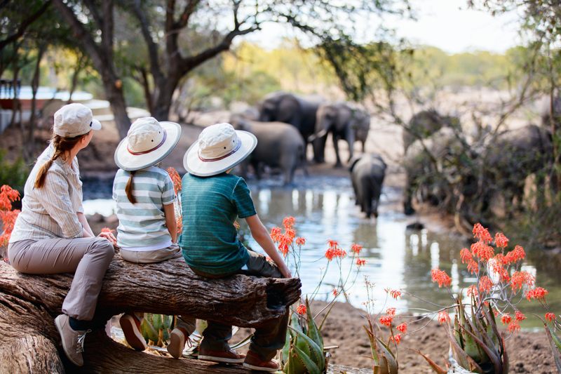 safari africa consigli