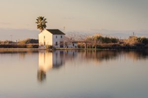 Paesaggio Parco dell'Albufera