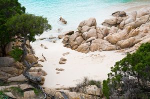 cala coticcio sardegna